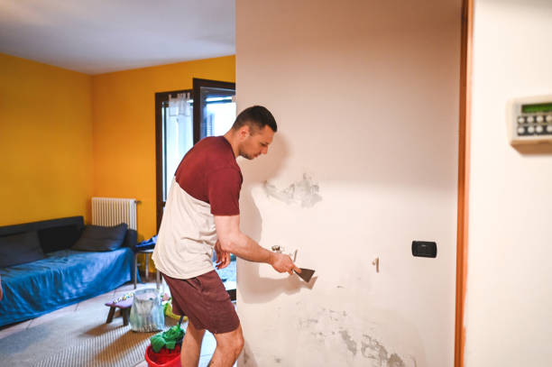 Best Mold Removal Near Me  in Jurupa Valley, CA